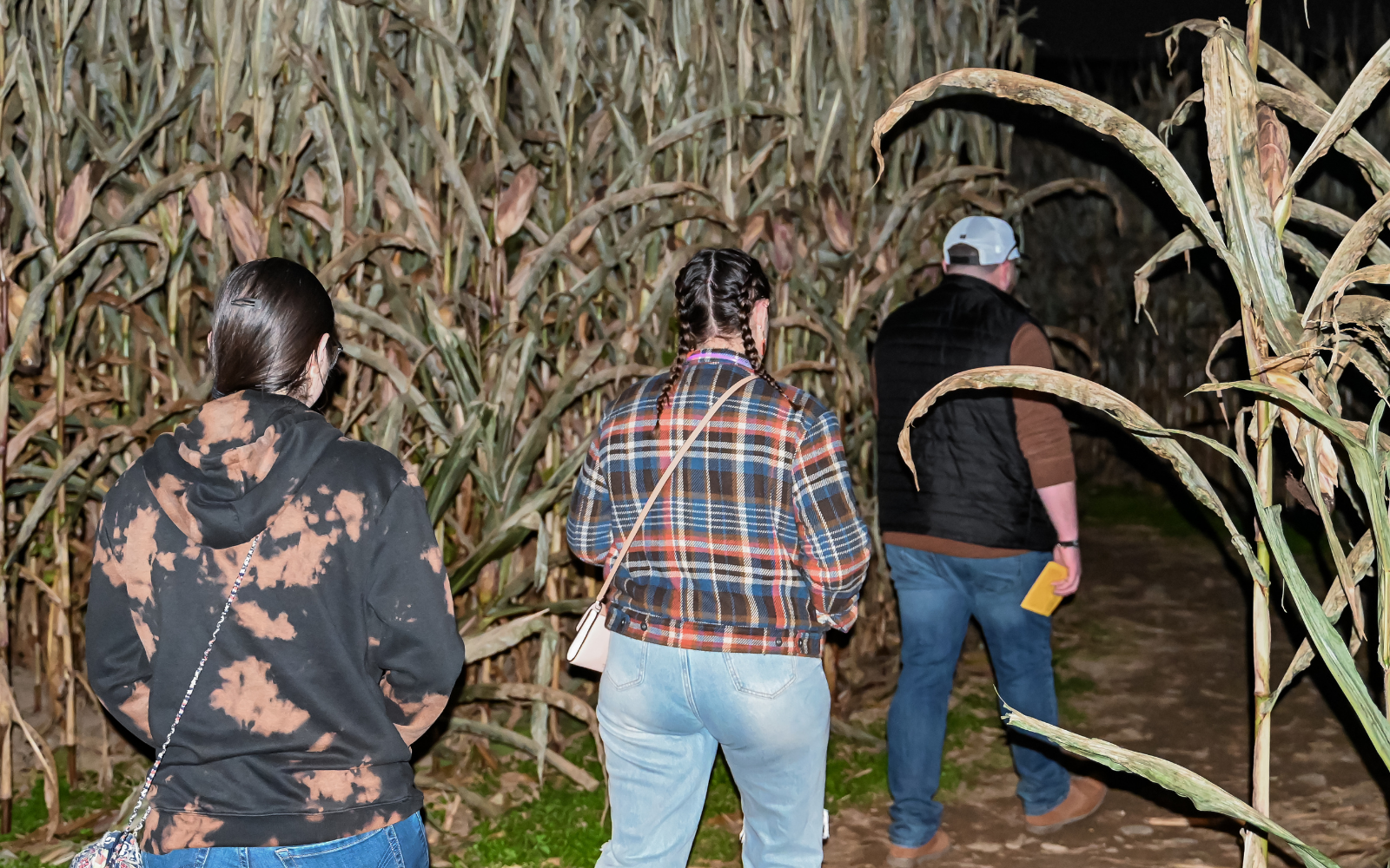 Visitors entering the Mazezilla corn maze at night